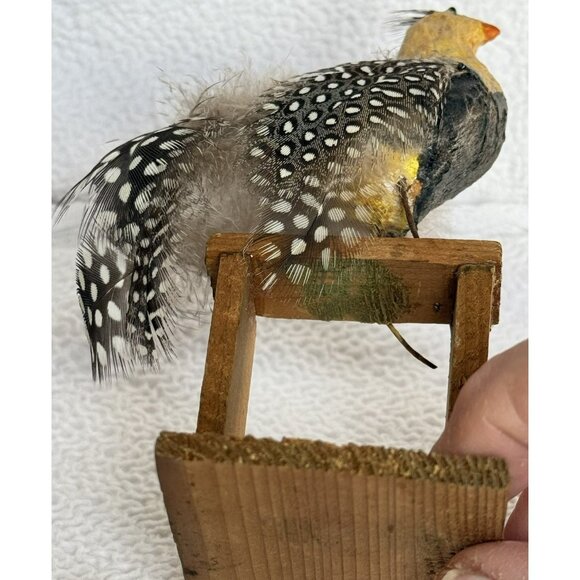 Antique German Made Paper Mache Bird Possibly Sandgrouse Real Feathers Wood Base - Picture 12 of 14